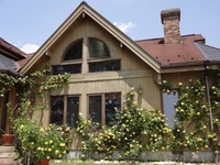 オリガーデン　バラ祭り