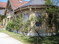 かわいいリンゴの花