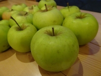 小ぶりで可愛いリンゴたち