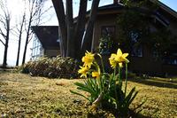 ORIガーデンの春