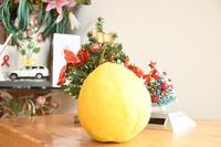 ビッグレモンを収穫