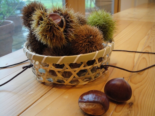 kuri-022 (500x375).jpg