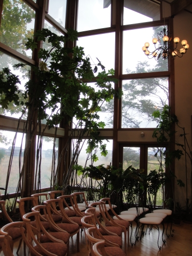 papaya-010 (375x500).jpg