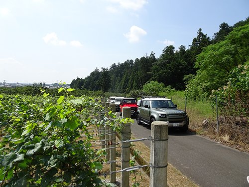 20200911budou10.jpg