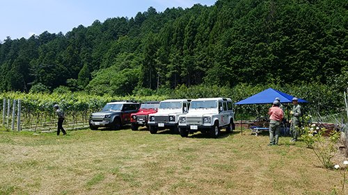 20200911budou9.jpg
