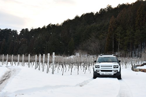 2022.02.16_winter_grapefarm_4.jpg