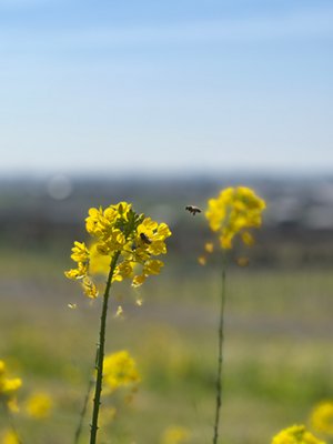 2026.04.13_oriwine3.jpg