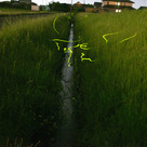 今年もホタルが飛翔する季節になりました