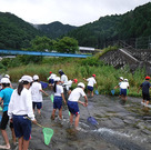 飛鳥川と三水（みみず）川で水質の授業を行いました