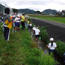 北小学校にて水生生物の授業を行いました